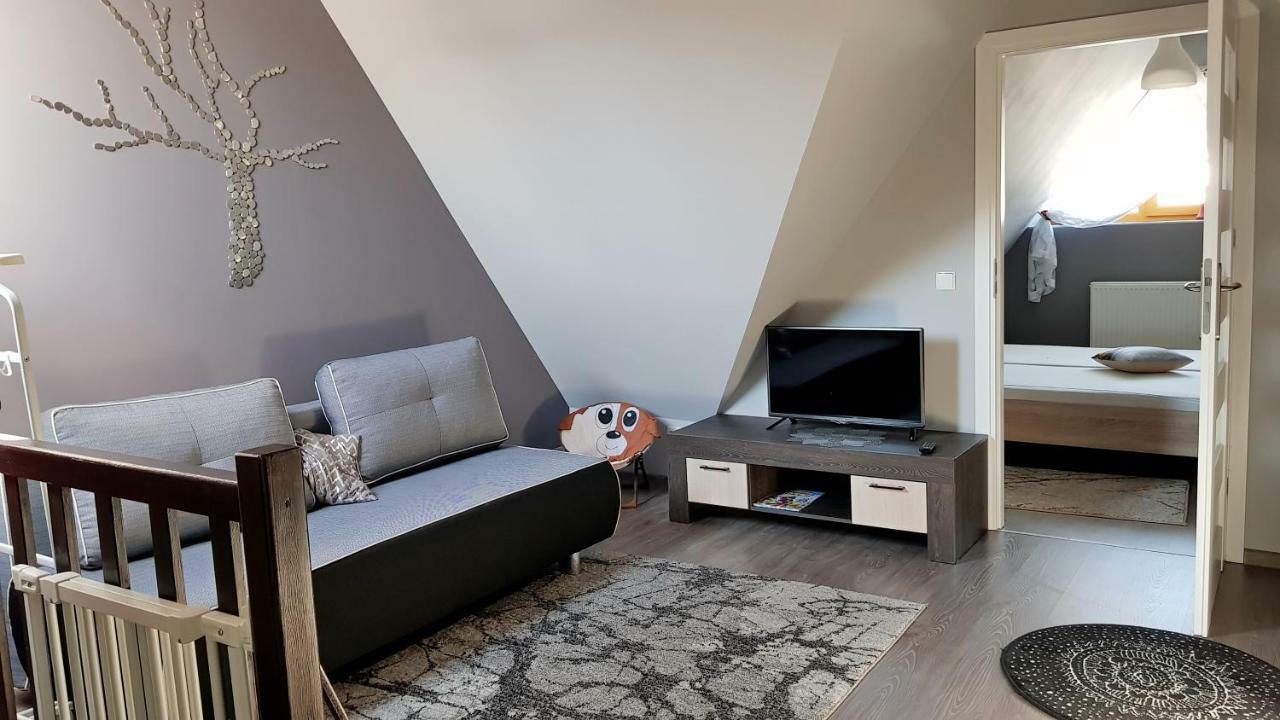 Apartament Podkowa Z Widokiem Na Giewont 考斯赛力克 外观 照片